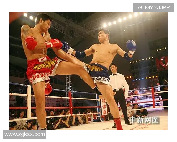 张开印与一龙的巅峰对决谁将成为武林至尊的传奇之战