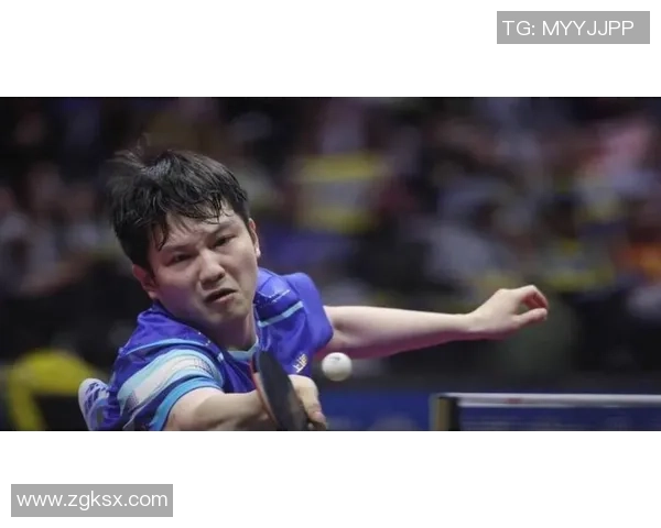 樊振东与波尔精彩对决视频回顾乒乓球巅峰对决不容错过