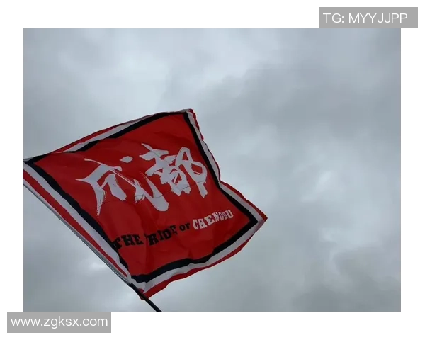 成都排球队速度之争引发热议球迷与专家各执己见